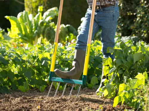 outils de jardinage